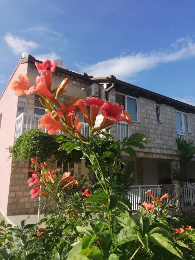 Apartmani Danica オレビック エクステリア 写真