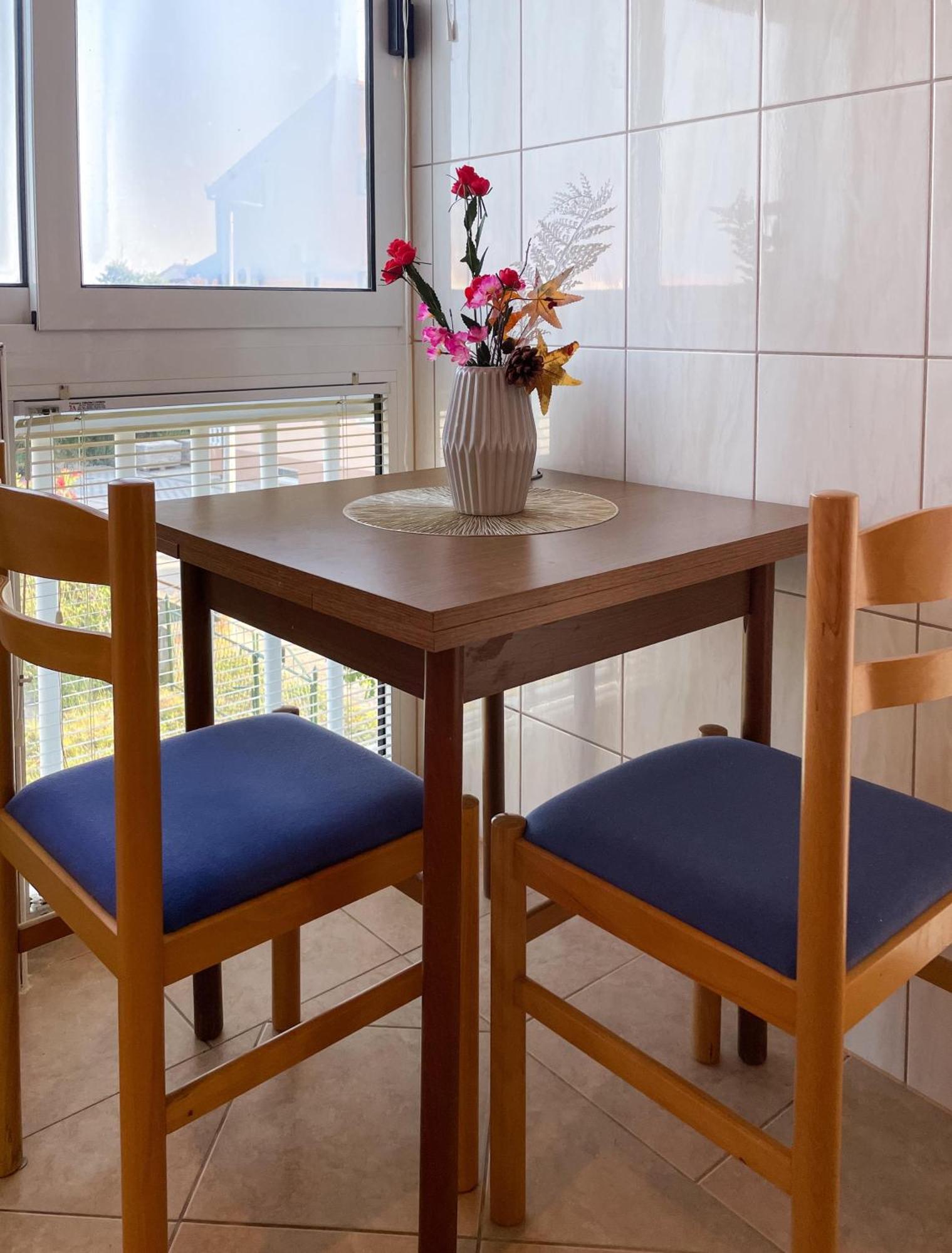 Apartmani Danica オレビック エクステリア 写真