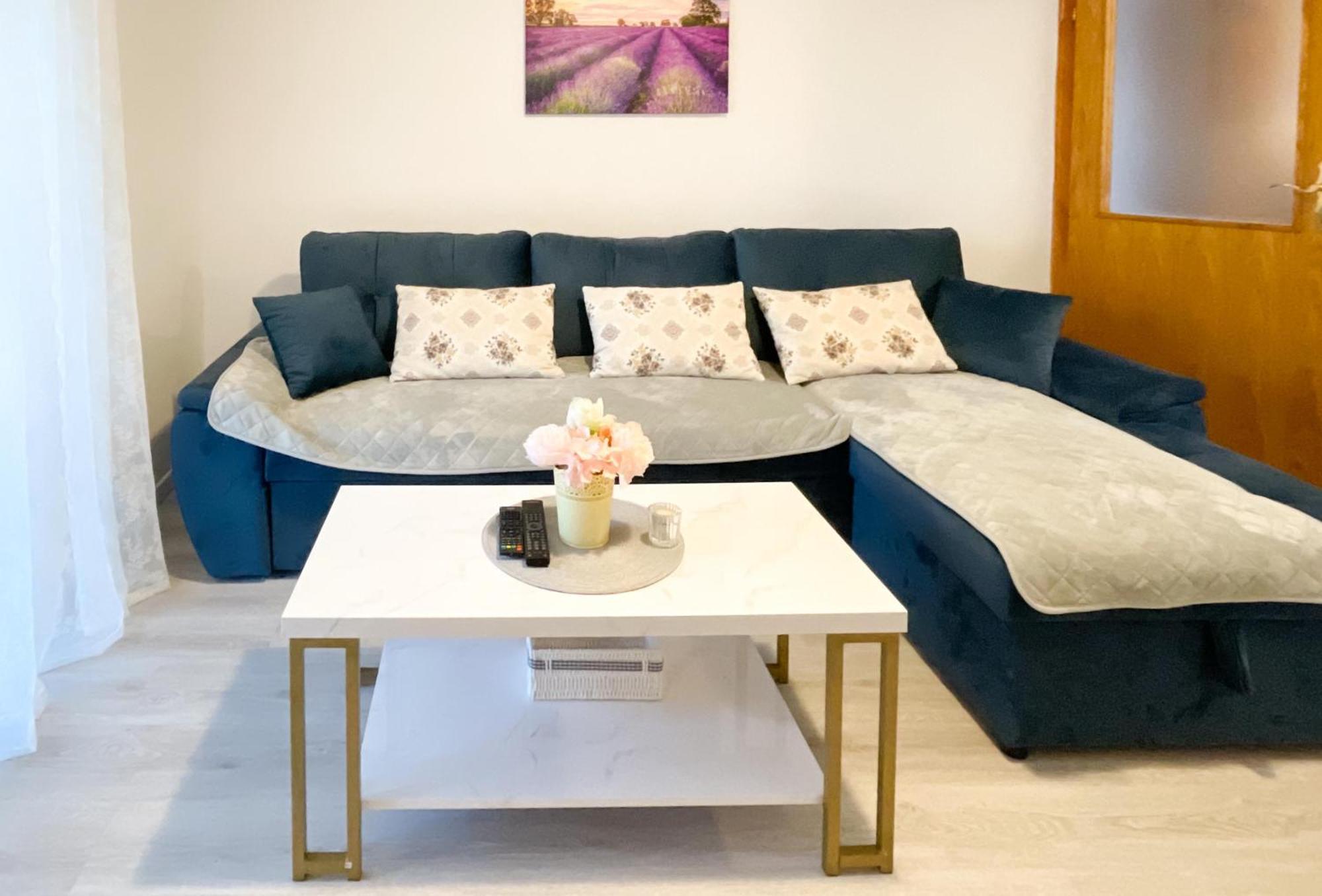 Apartmani Danica オレビック エクステリア 写真
